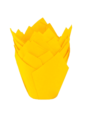 Moldes Tulipas x50 unidades