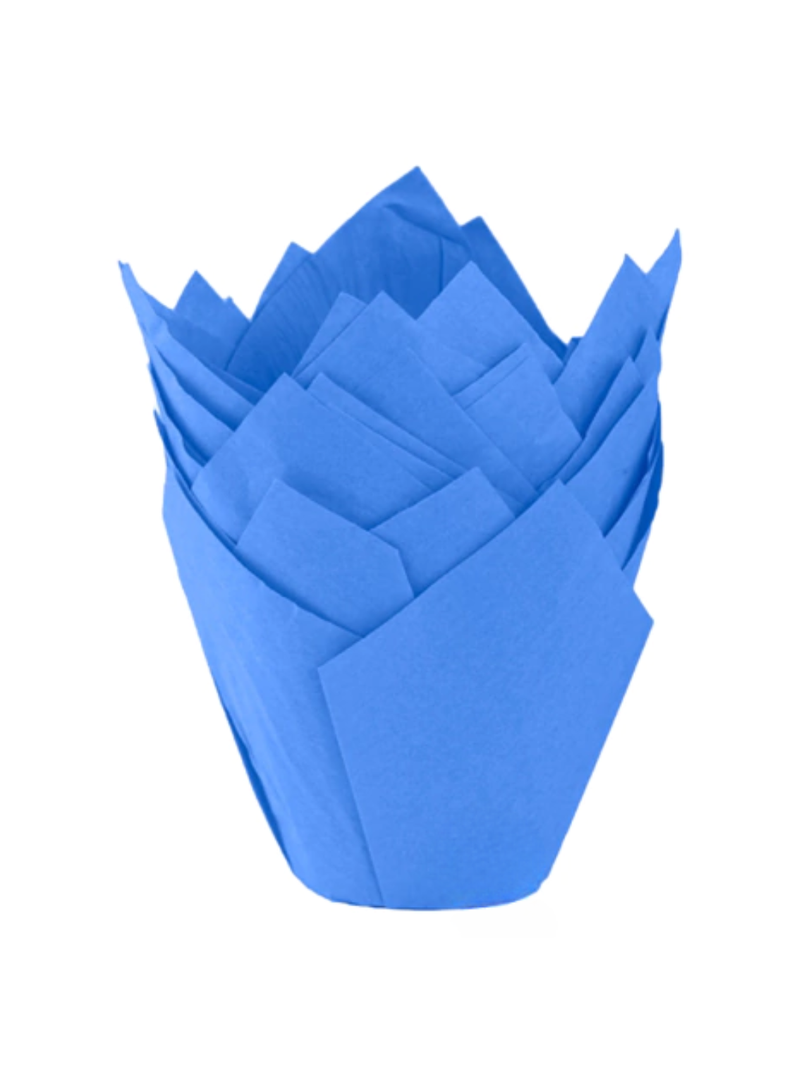 Moldes Tulipas x50 unidades 3