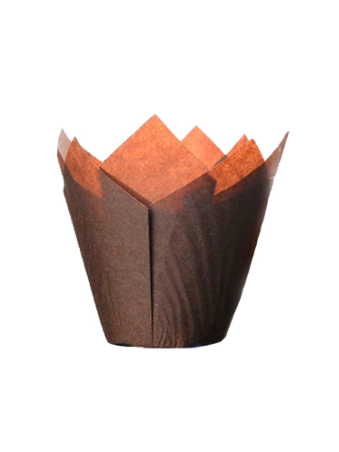 Moldes Tulipas x50 unidades 5