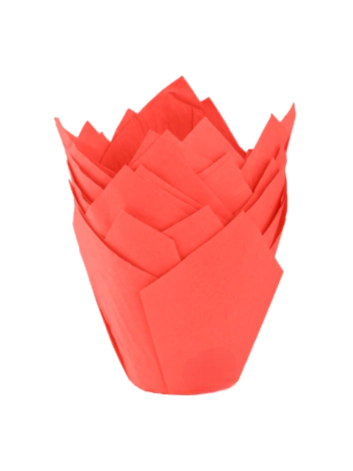 Moldes Tulipas x50 unidades 1