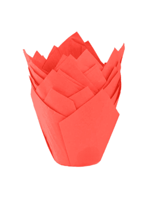 Moldes Tulipas x50 unidades