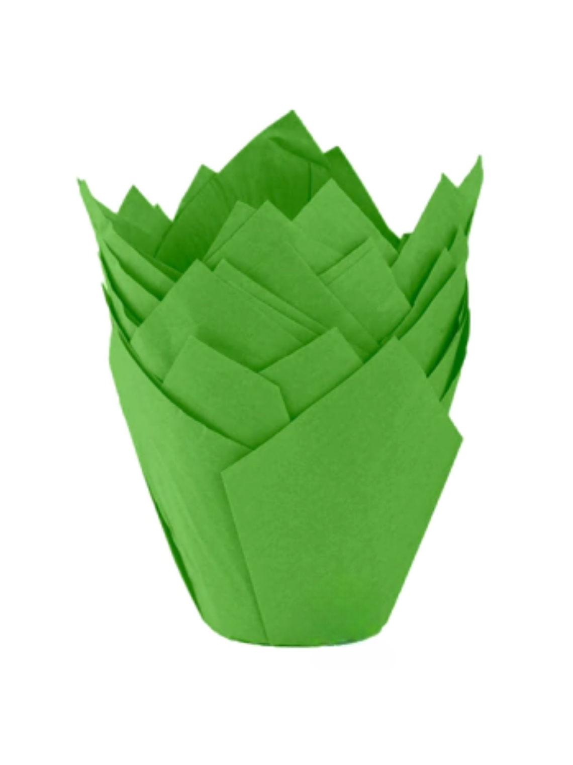 Moldes Tulipas x50 unidades 9