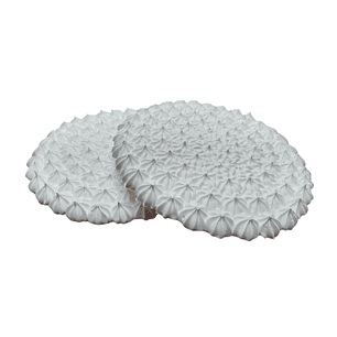 Disco de Merengue 22 Cms 380 grs