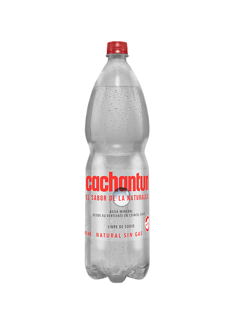 Agua Mineral Cachantun 1,6 Litros (Con/Sin Gas) 3