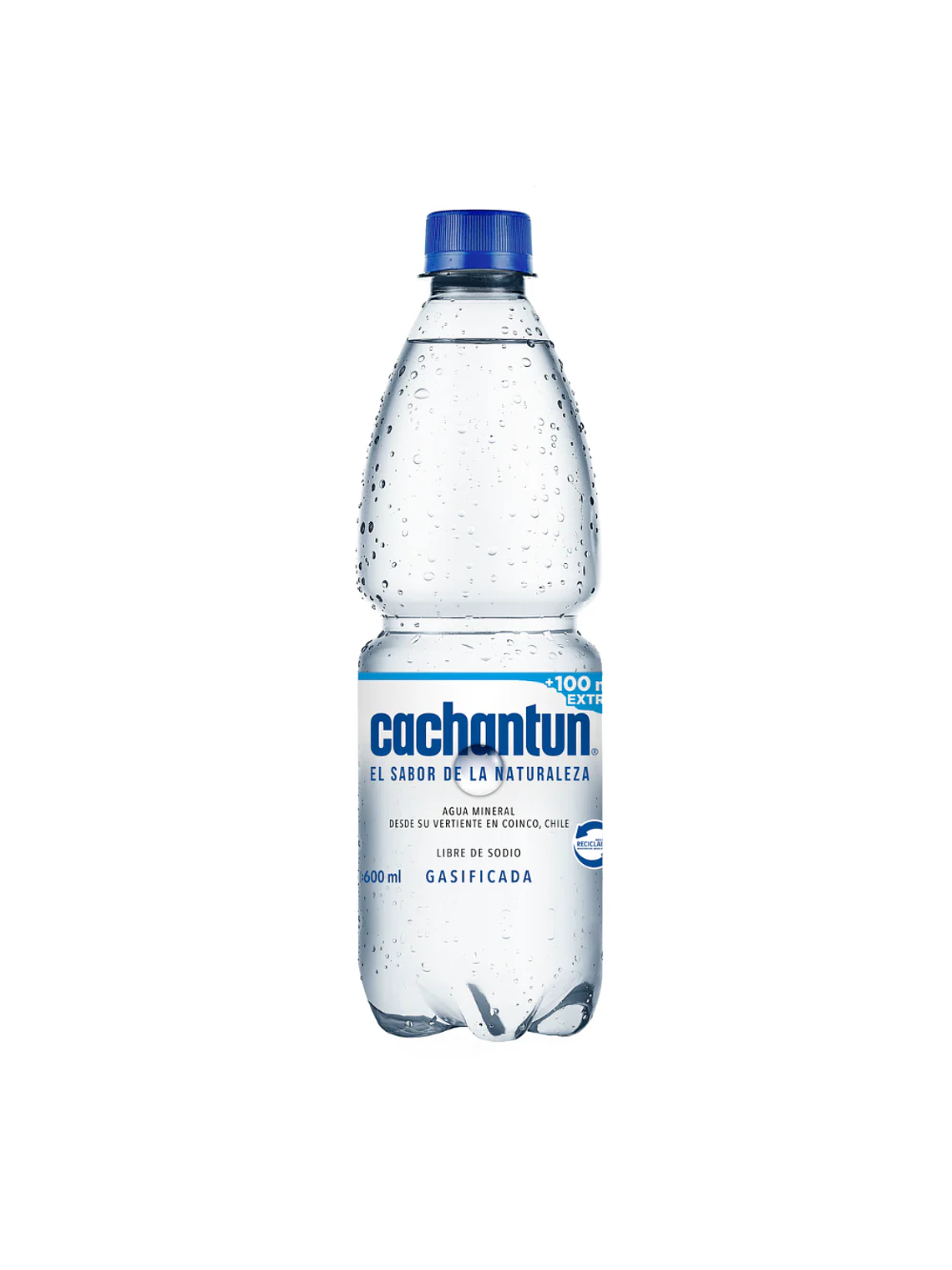 Agua Mineral Cachantun 600ml (Con/Sin Gas) 2