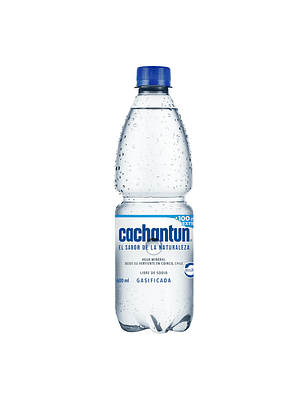 Agua Mineral Cachantun 600ml (Con/Sin Gas)