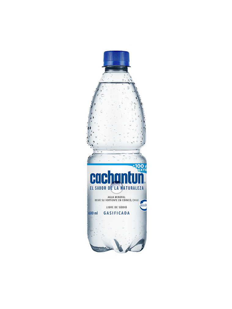 Agua Mineral Cachantun 600ml (Con/Sin Gas) 2