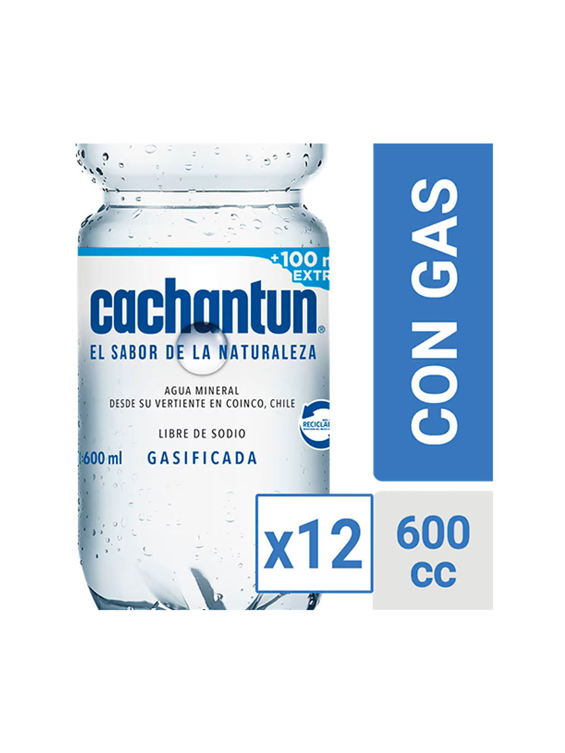 Agua Mineral Cachantun 600ml (Con/Sin Gas) 4