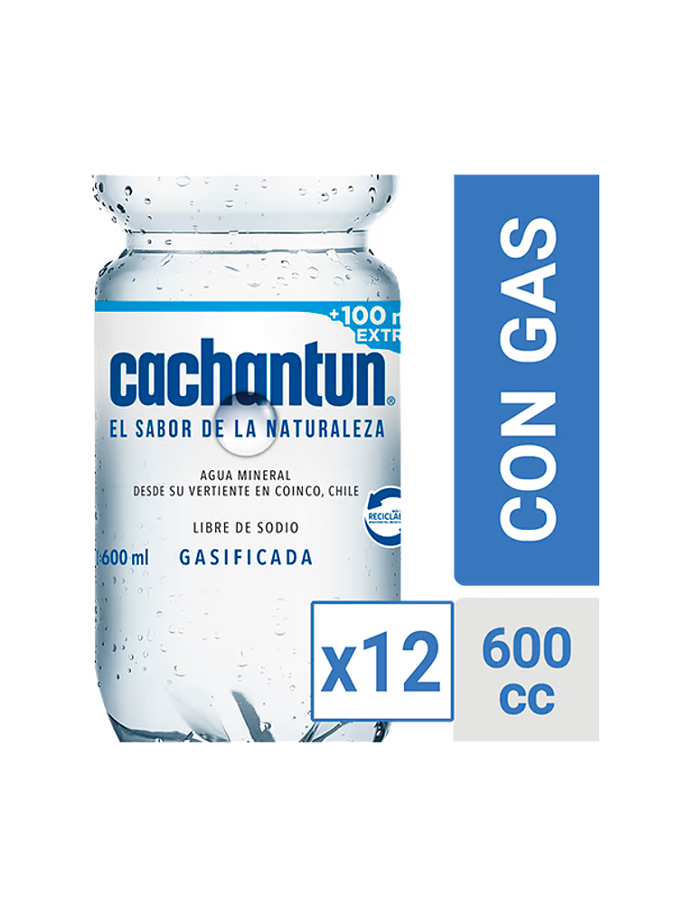 Agua Mineral Cachantun 600ml (Con/Sin Gas) 4