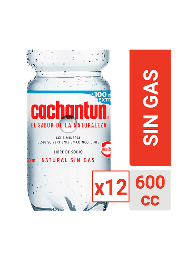 Agua Mineral Cachantun 600ml (Con/Sin Gas) 5