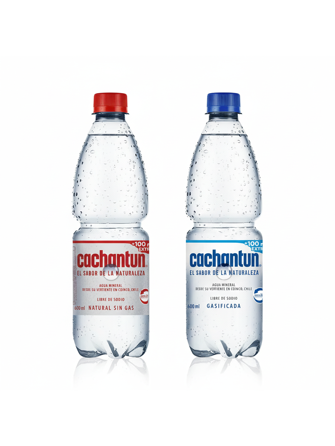 Agua Mineral Cachantun 600ml (Con/Sin Gas) 1