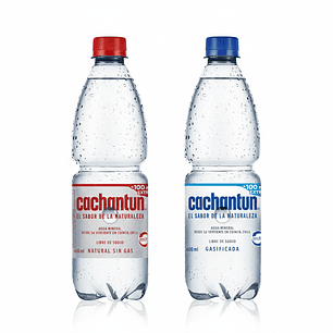 Agua Mineral Cachantun 600ml (Con/Sin Gas)