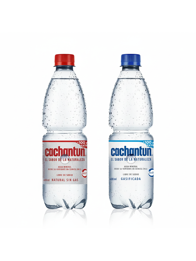 Agua Mineral Cachantun 600ml (Con/Sin Gas) 1