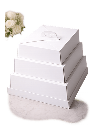 Cajas Para Torta o Tartaleta - Distintos Tamaños