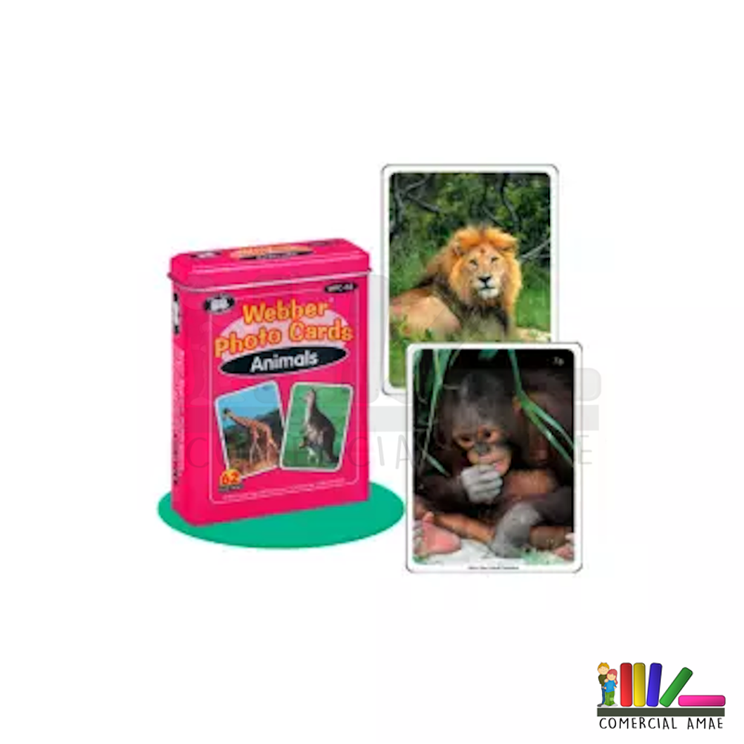FLASH CARDS ANIMALES 62 UNIDADES 7,5 X 10 CMS 1