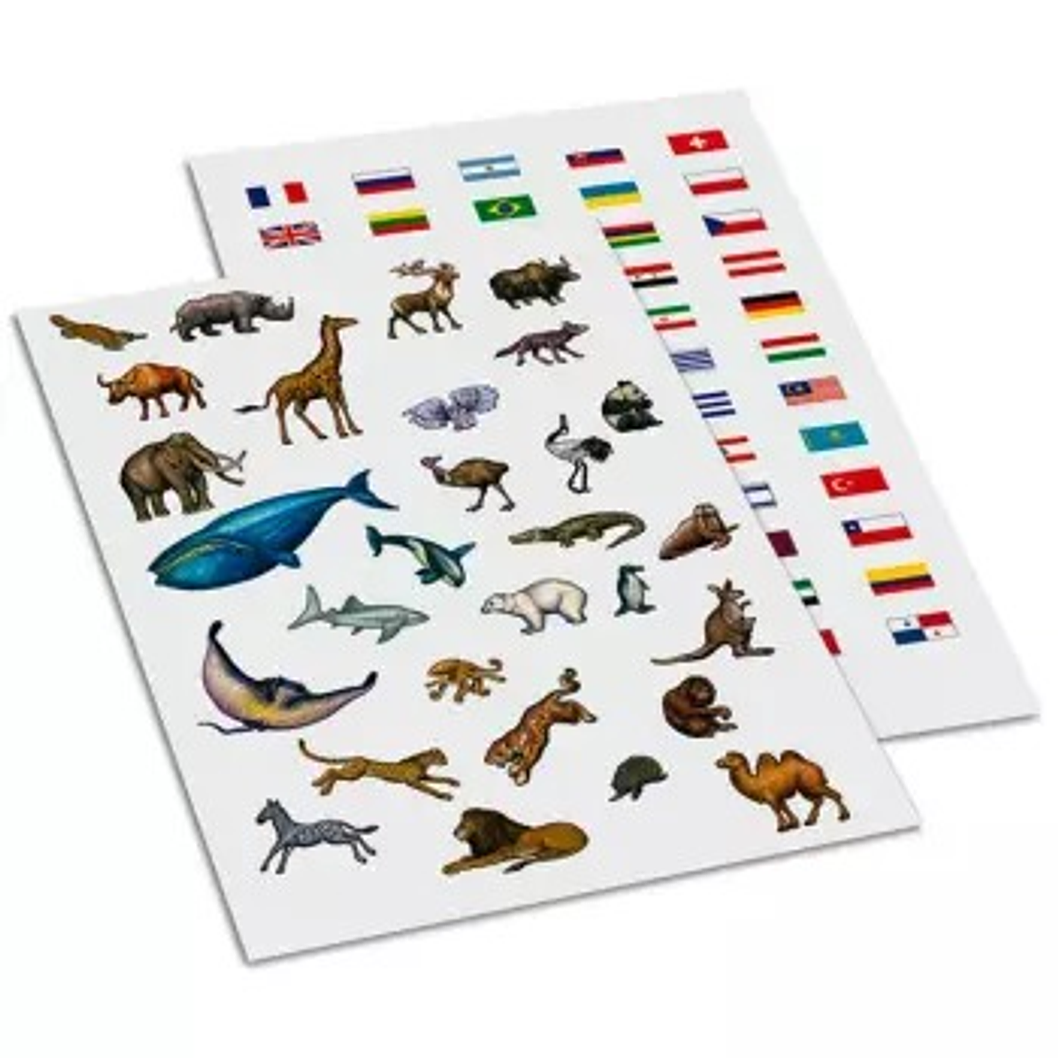 GLOBO TERRÁQUEO PARA PINTAR 2