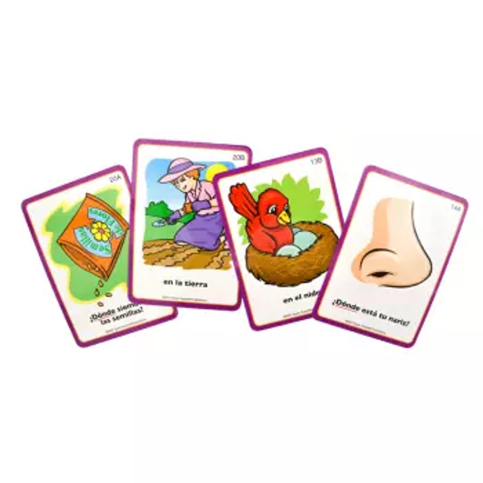 Flash Cards Preguntas Donde 56 Uni. 2