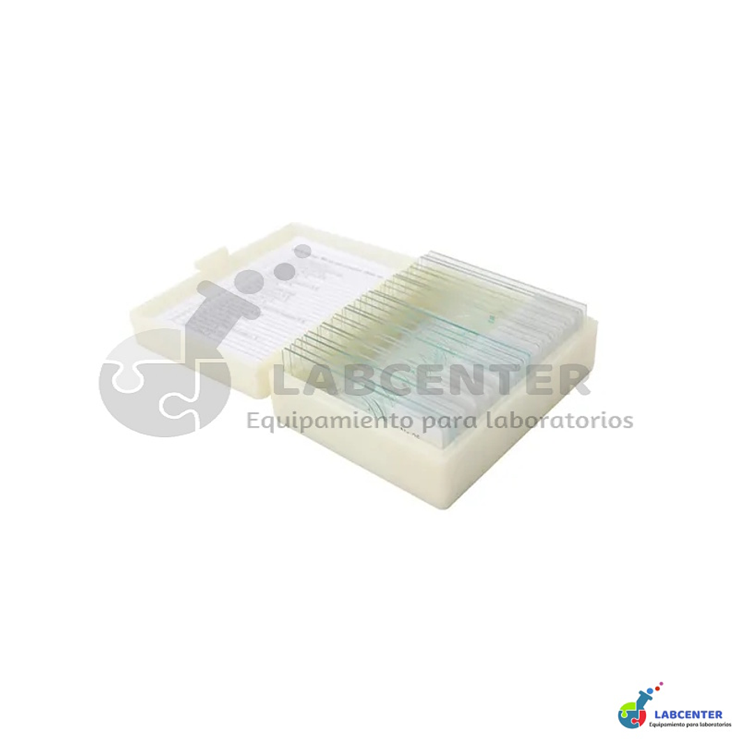 Set de 25 Portaobjetos Preparados para Microscopio 2