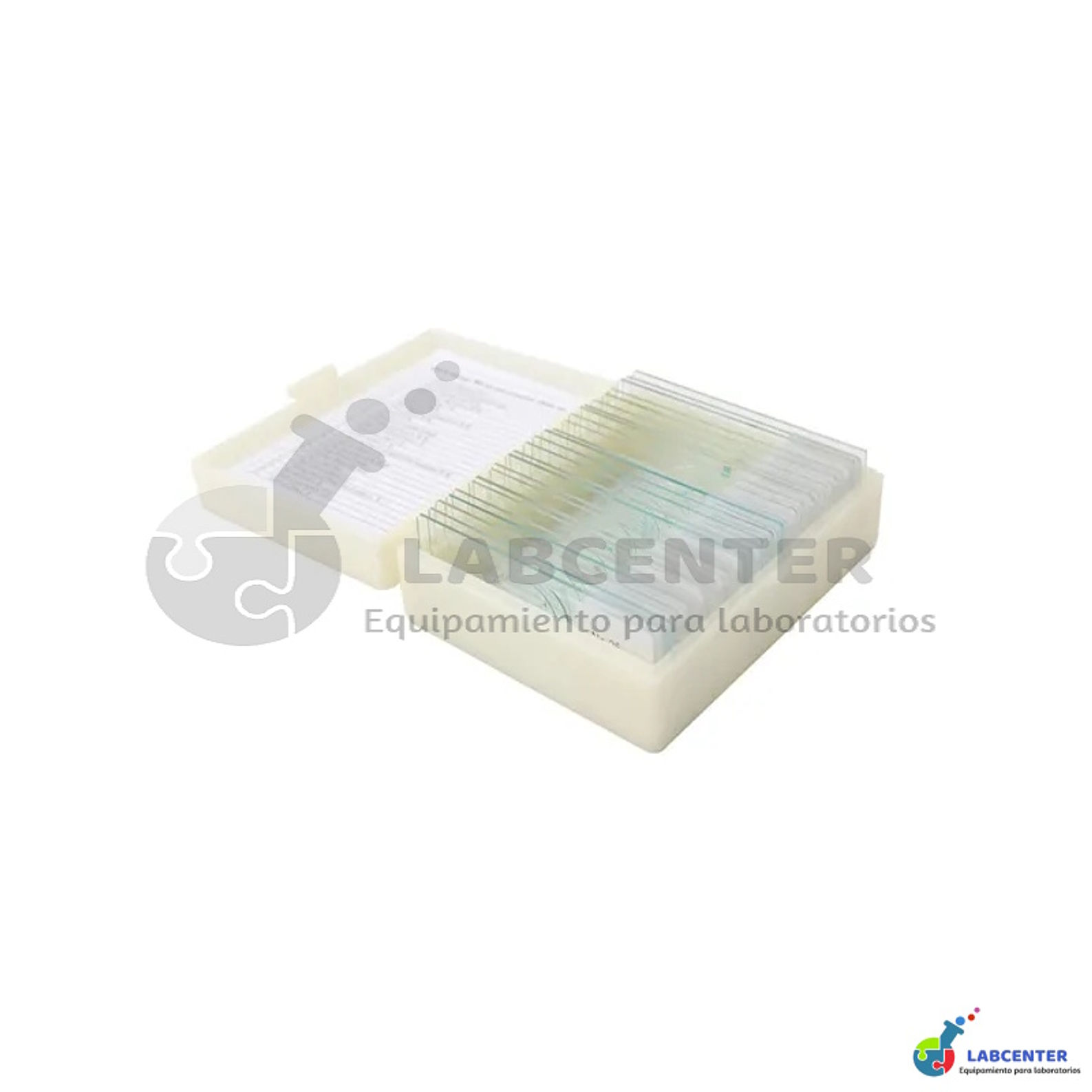 Set de 25 Portaobjetos Preparados para Microscopio 2