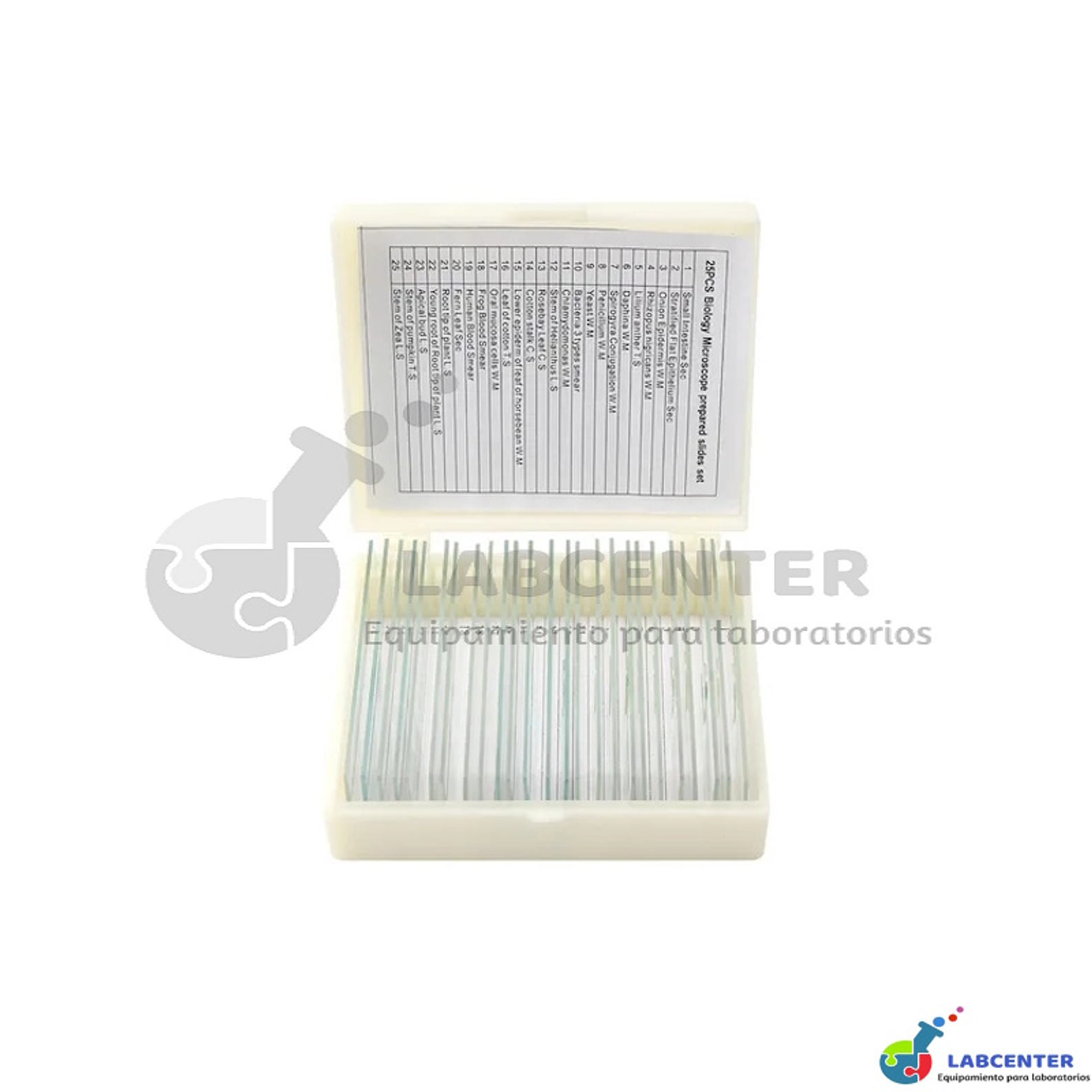 Set de 25 Portaobjetos Preparados para Microscopio 3