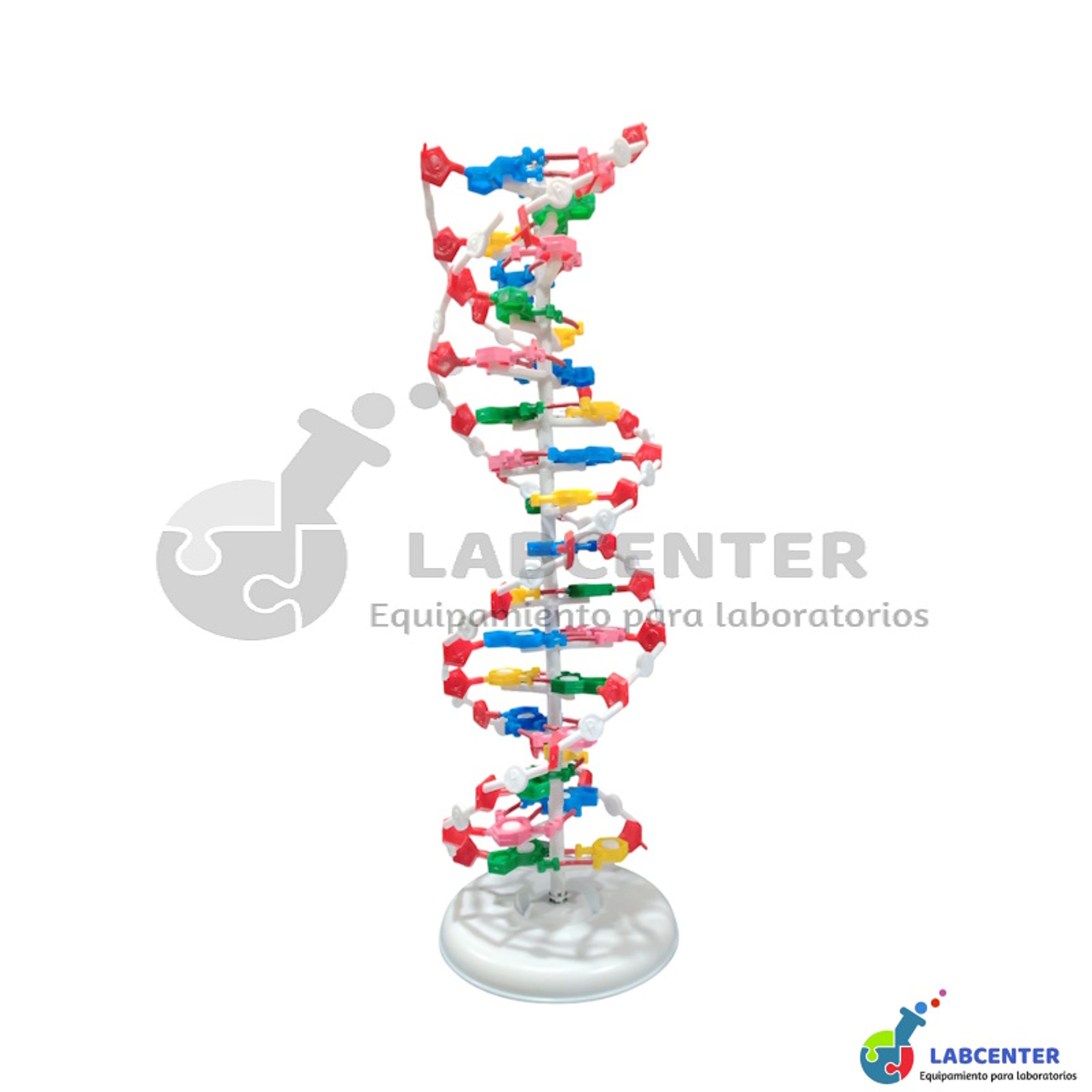 MODELO DNA DOBLE HELICE 2