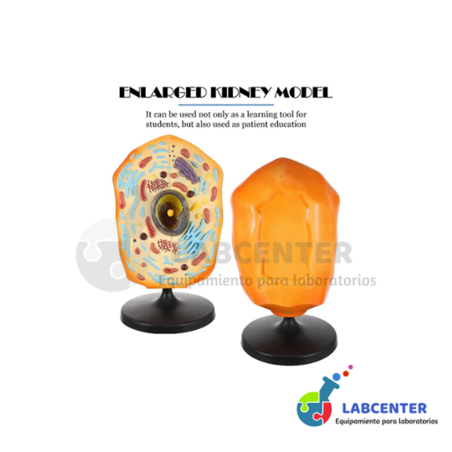 MODELO DE CELULAR ANIMAL PVC 3