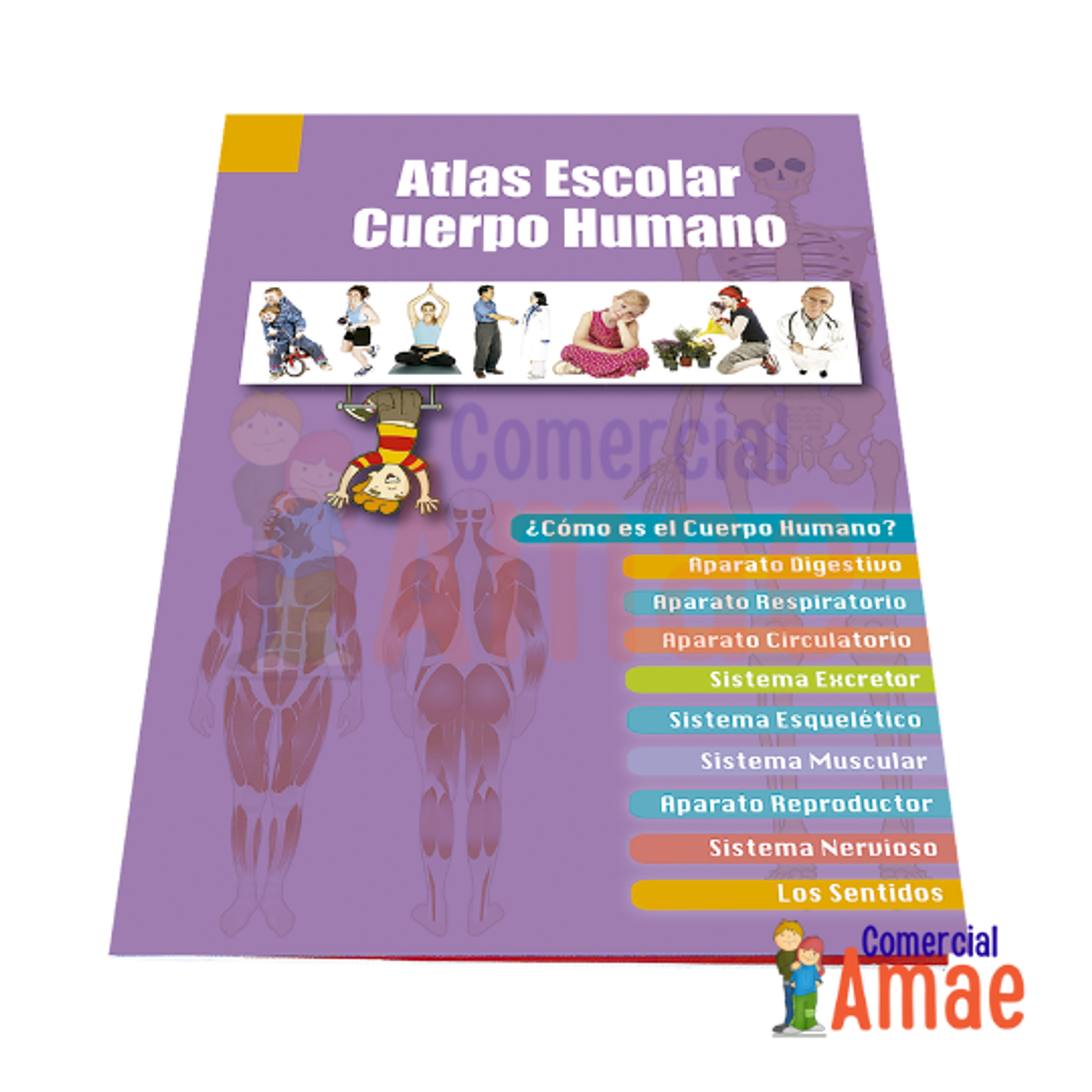 ATLAS ESCOLAR CUERPO HUMANO  1