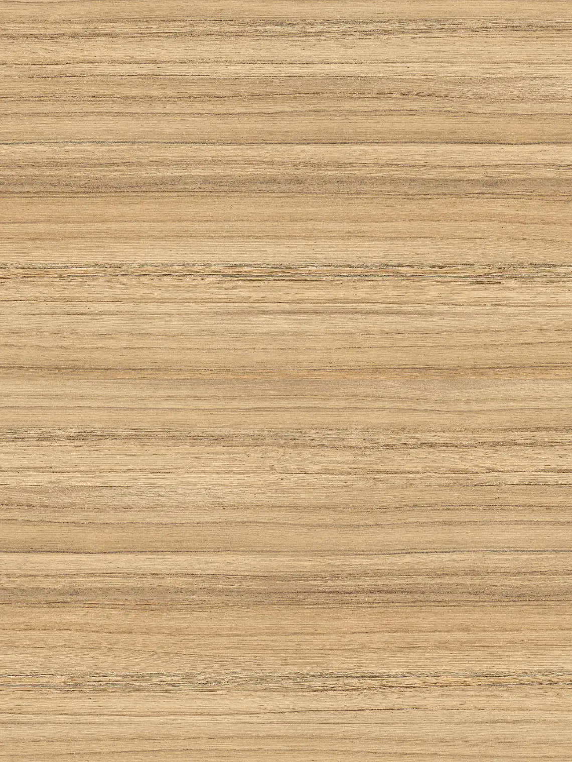 Coco Bolo 2.60 x 1.83mt 1