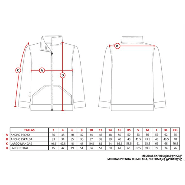 POLERÓN  DE BUZO UNISEX ALGODÓN - COLEGIO PEDRO DE VALDIVIA 