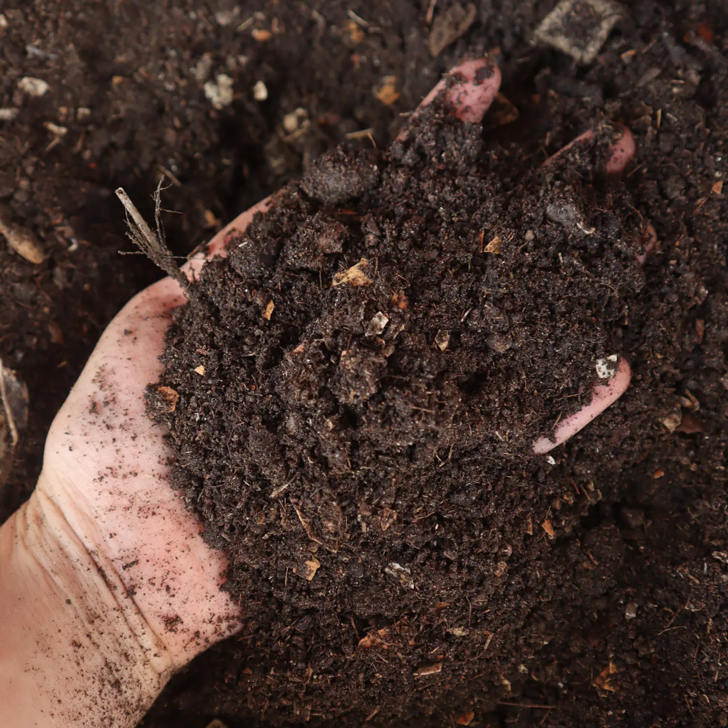 Sustrato Compost Orgánico 3