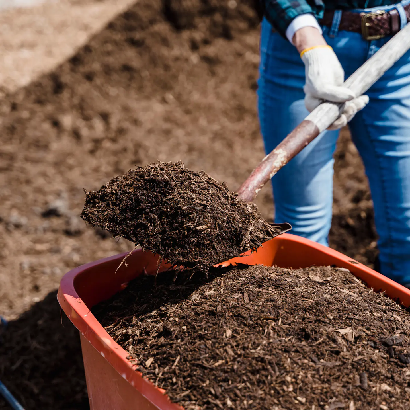 Sustrato Compost Orgánico 4