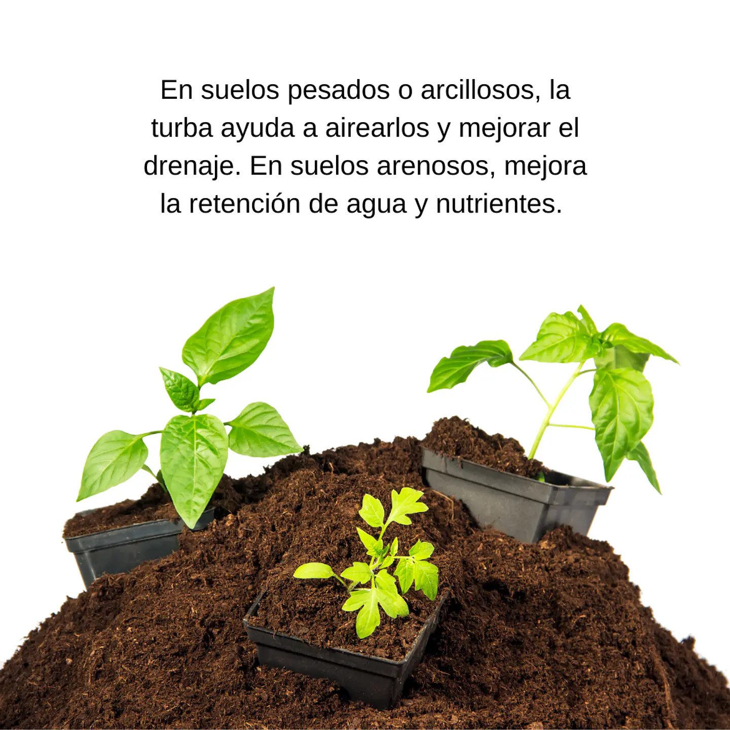 Sustrato Turba orgánica   2