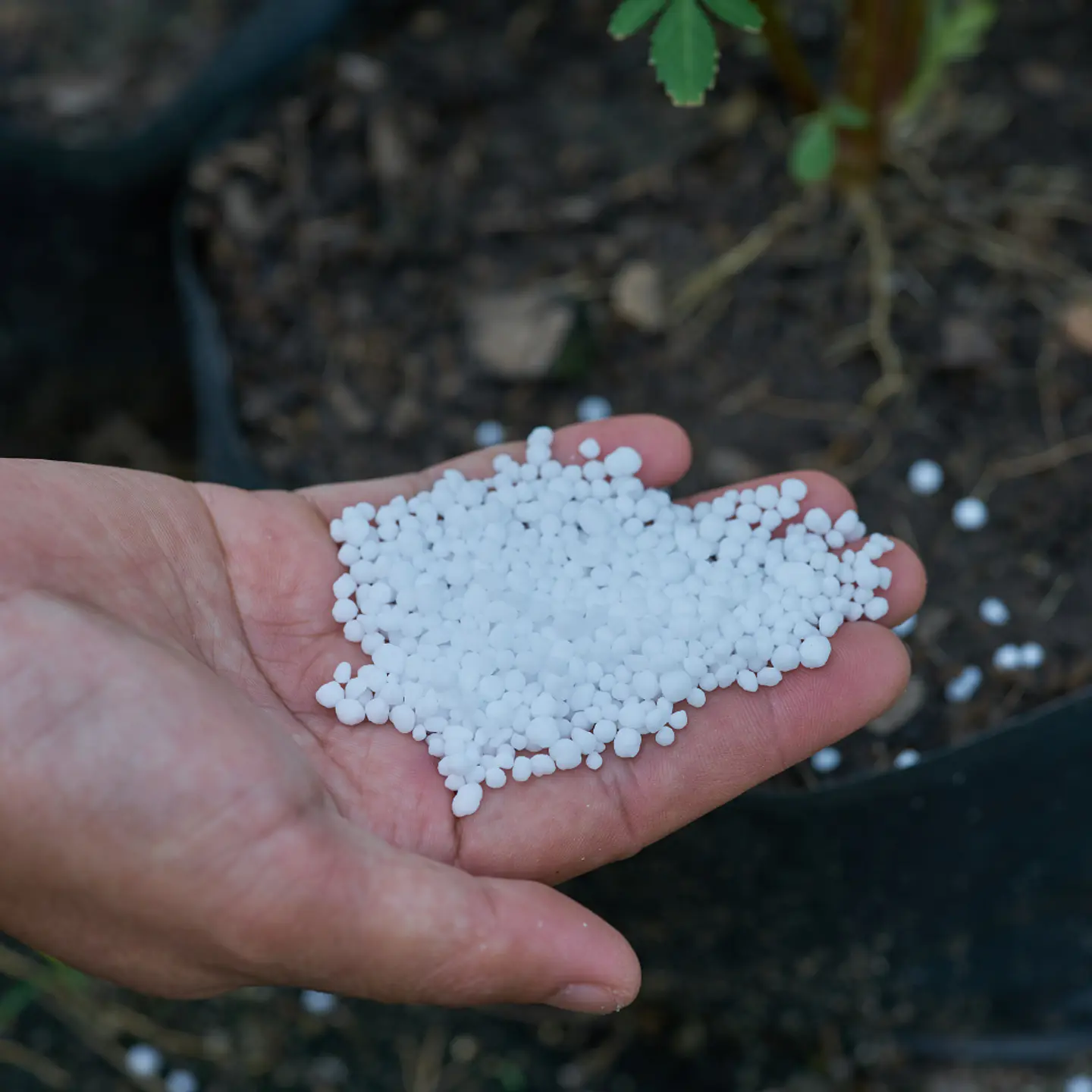 Fertilizante Urea 2