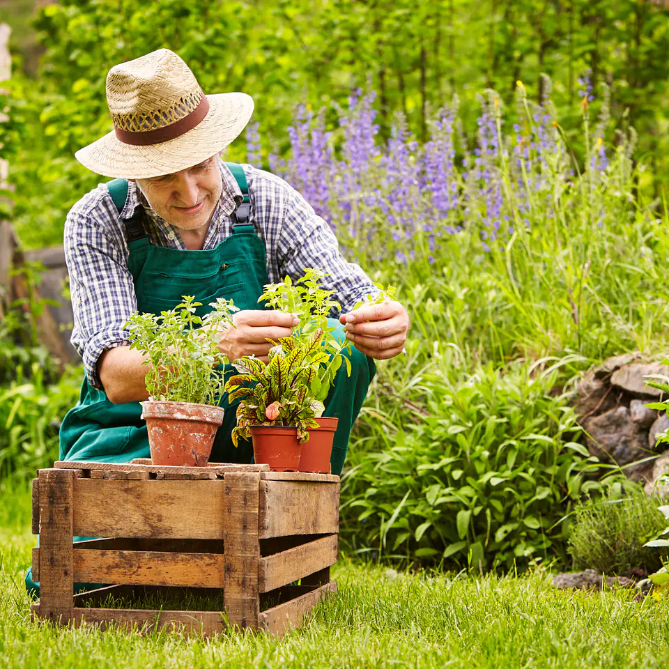Sustrato para Plantas de Exterior 4