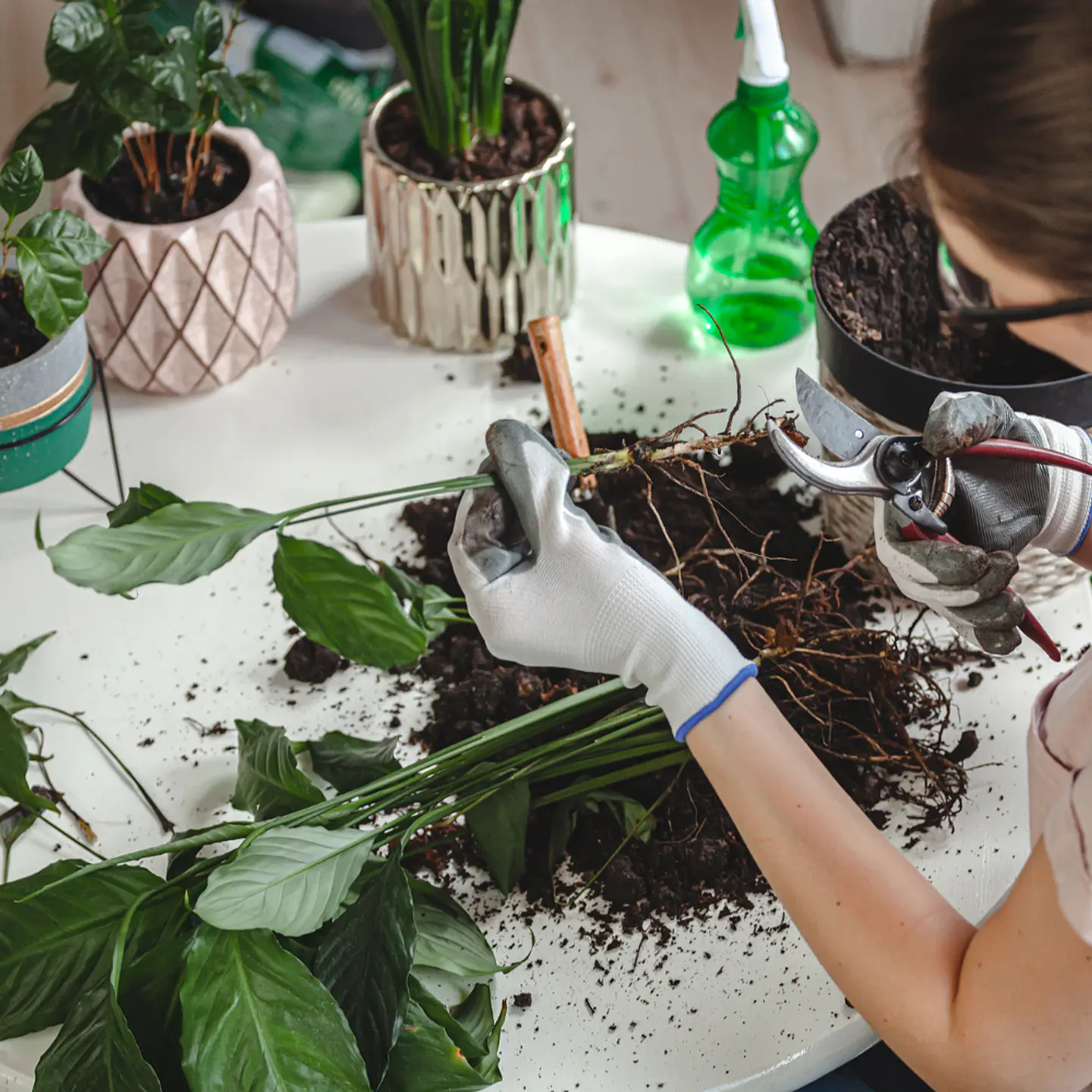 Pack de Sustratos Turba + Fibra de Coco Expandida 4