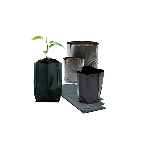 Bolsa planta 15x15