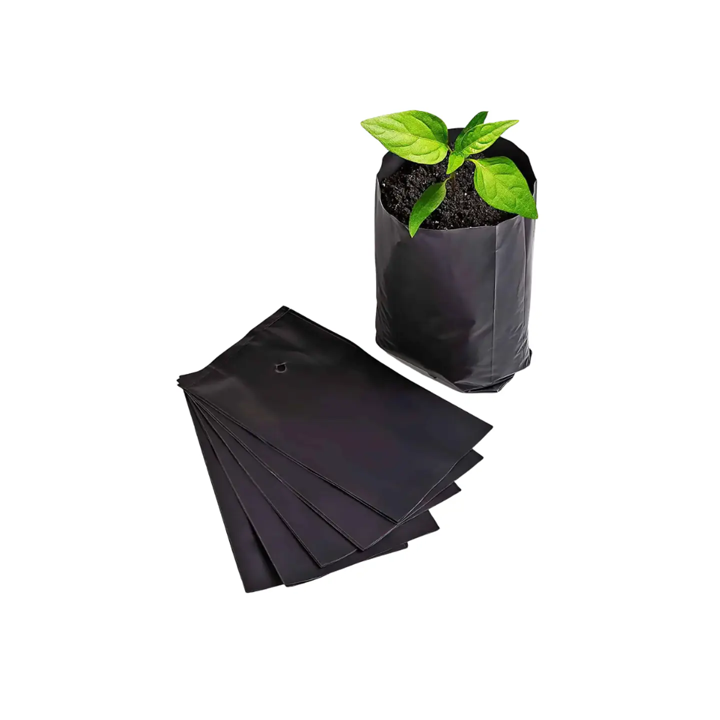 Bolsa planta 15x15 2