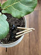 Pack Mini herramientas de jardineria - Miniatura 2
