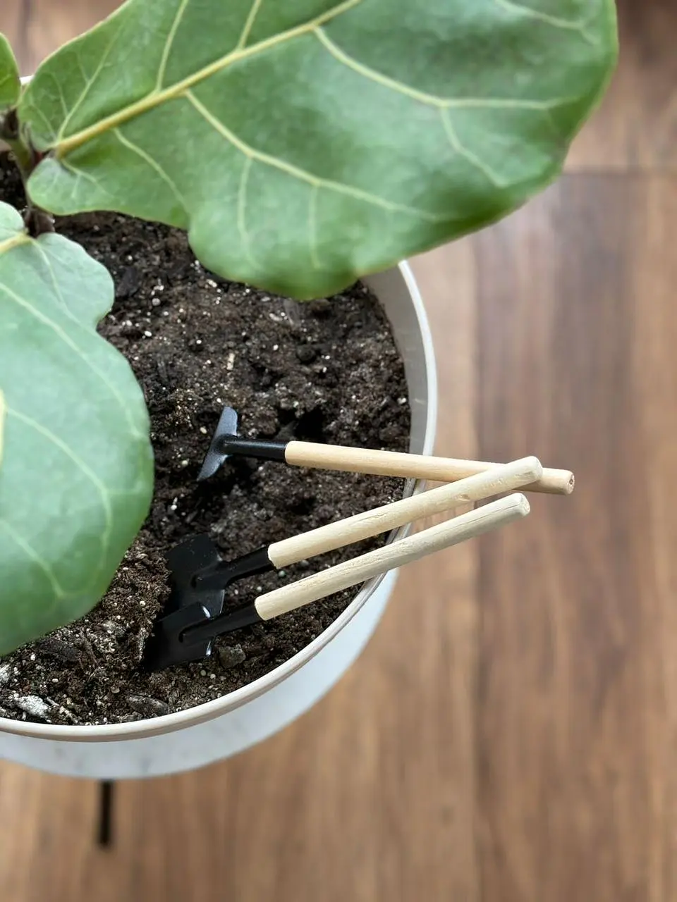 Pack Mini herramientas de jardineria 2