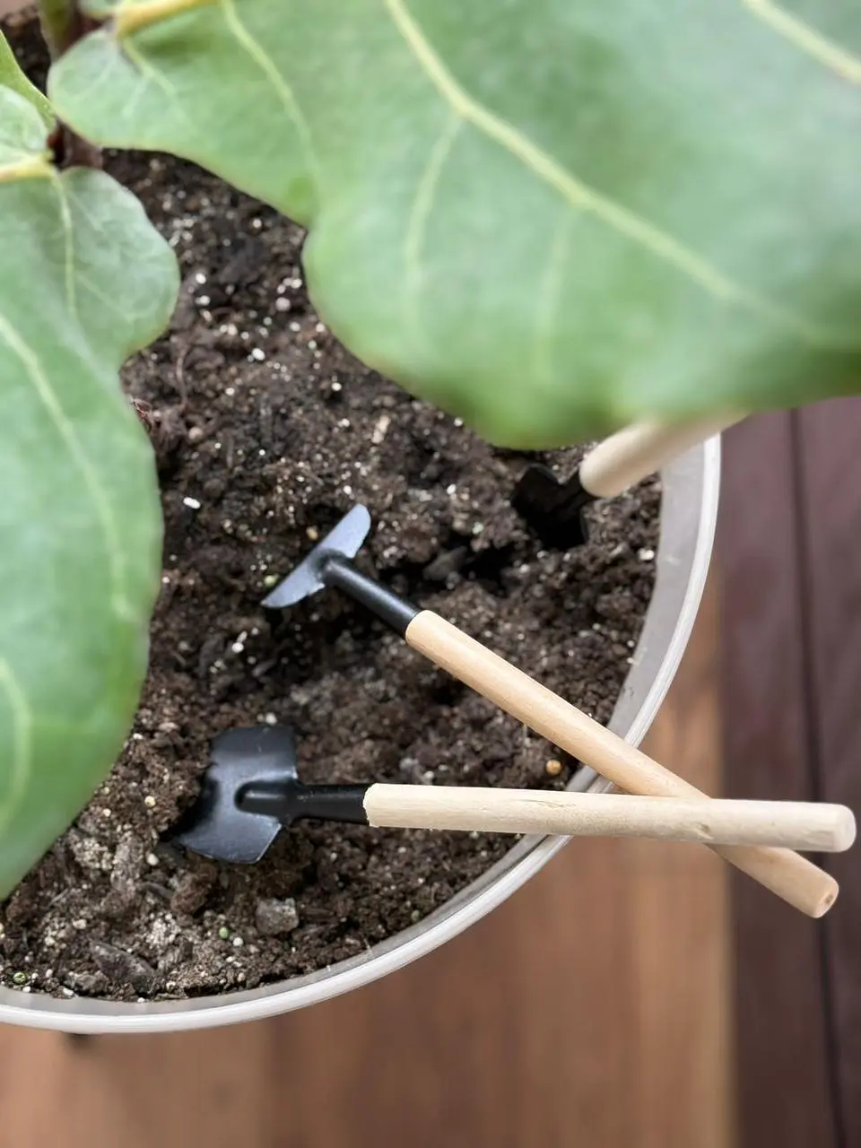 Pack Mini herramientas de jardineria 3
