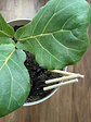 Pack Mini herramientas de jardineria - Miniatura 4