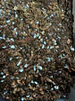 Sustrato para Plantas Tropicales - Miniatura 2