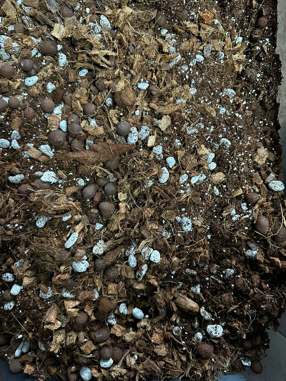 Sustrato para Plantas Tropicales 2