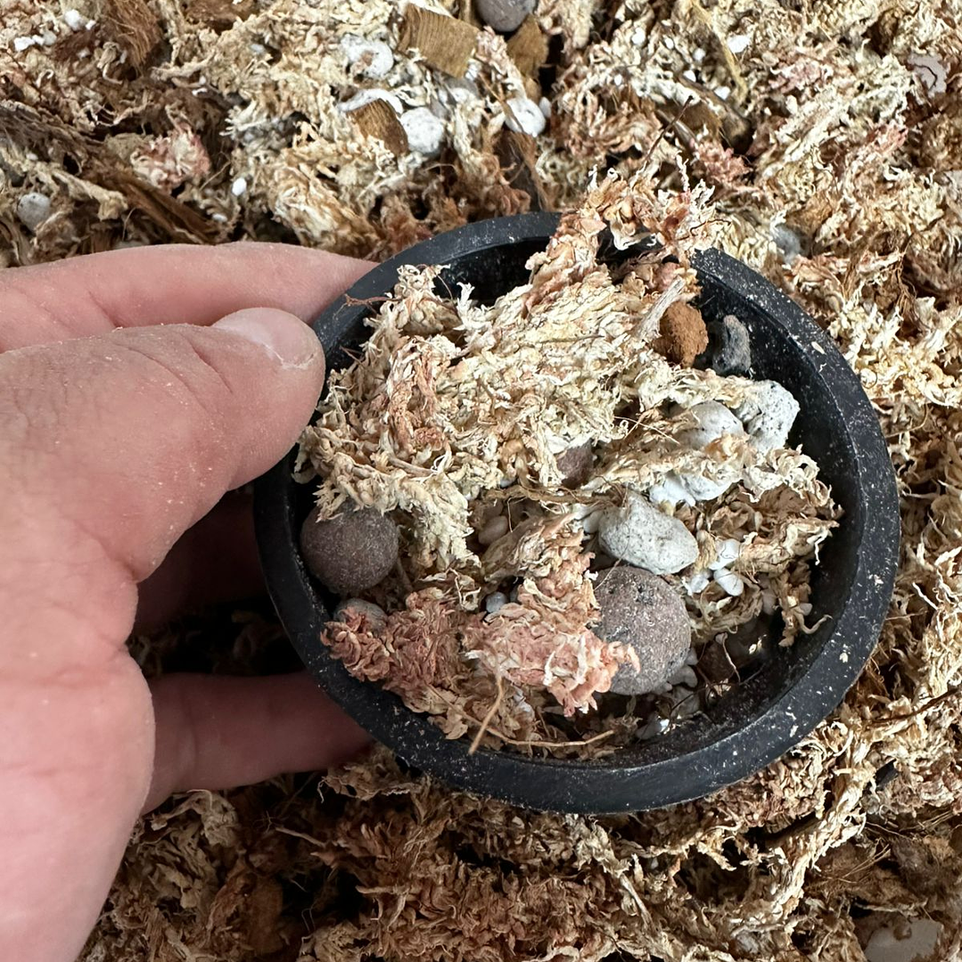 Sustrato para Orquídeas Premium Mix 5 Litros 3