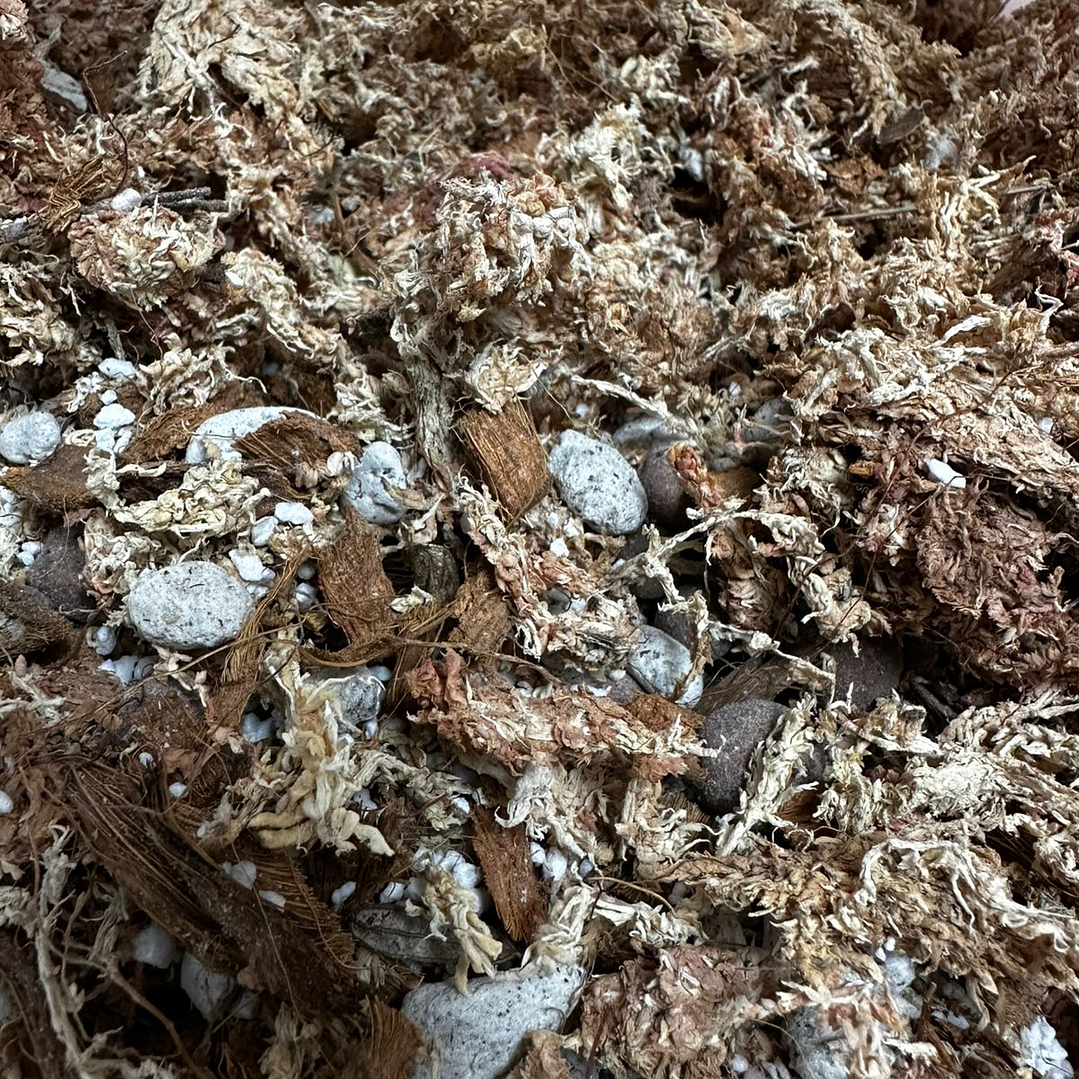 Sustrato para Orquídeas Premium Mix 10 Litros 2