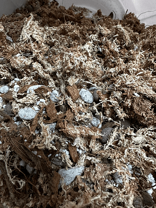 Sustrato para Orquídeas Premium Mix 10 Litros