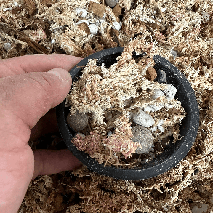 Sustrato para Orquídeas Premium Mix 10 Litros 3