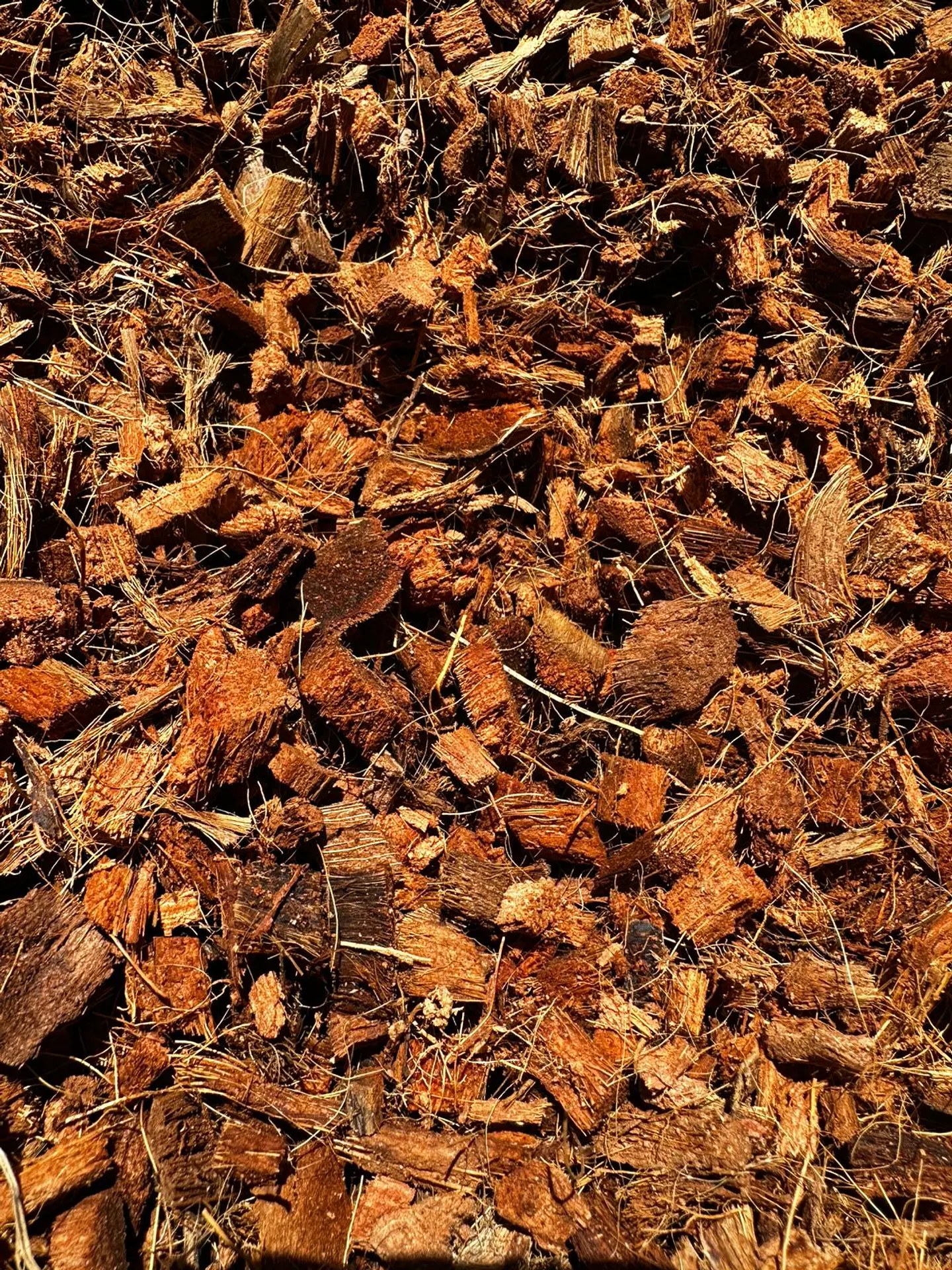 Sustrato Coco Chips  3