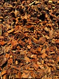 Sustrato Coco Chips  - Miniatura 3