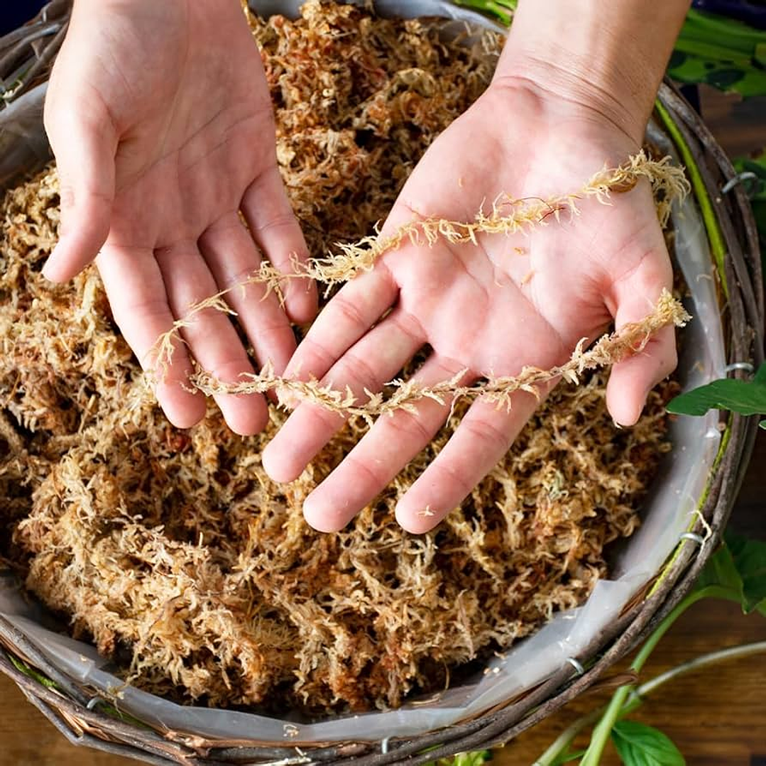 Musgo Sphagnum 5 Litros Deshidratado 3